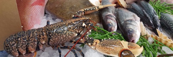 SticklebackFish Profile Banner