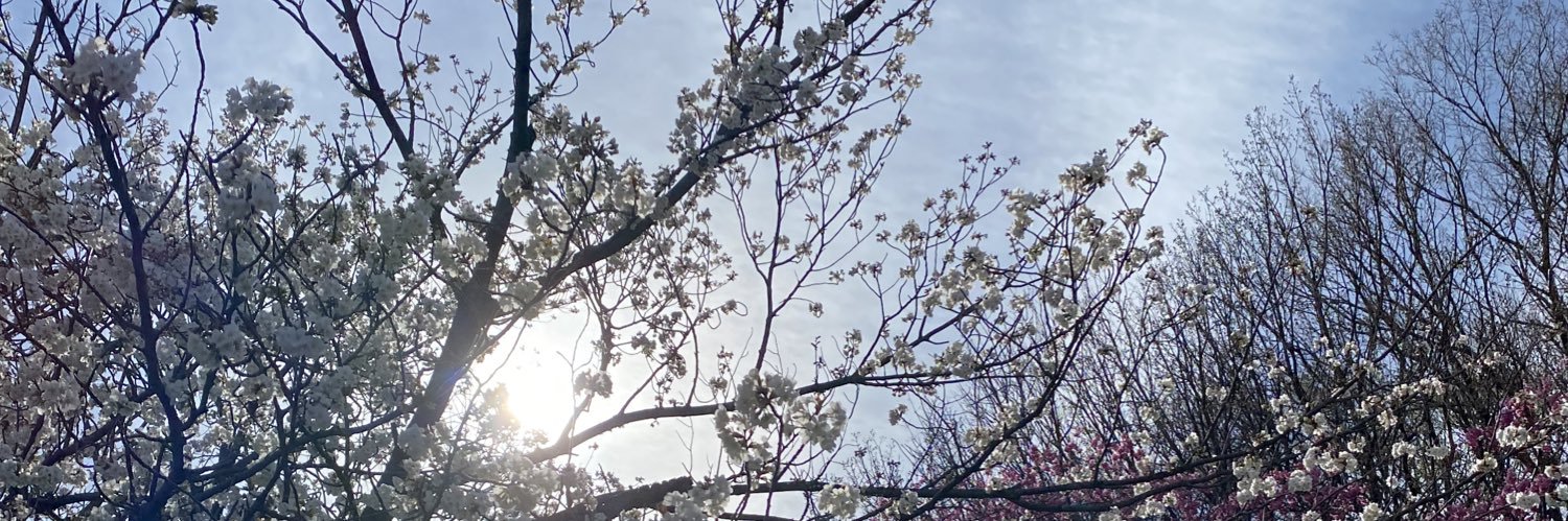 Akiko Orita, Ph.D. banner