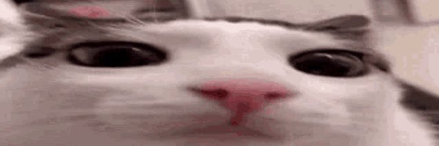 Zenk0🎗🧊 banner