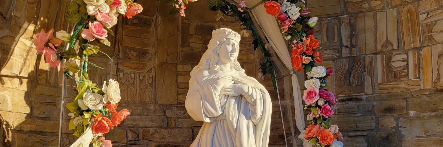 Trek Jeanie 🖖 banner