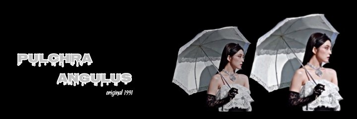 ｐꫀｏ᥊ｙ banner