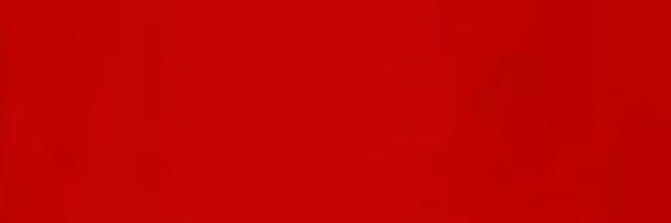 empregado da silva banner
