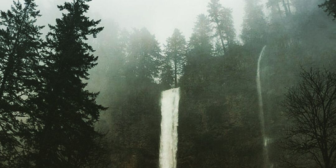 alexcronoz's profile banner image