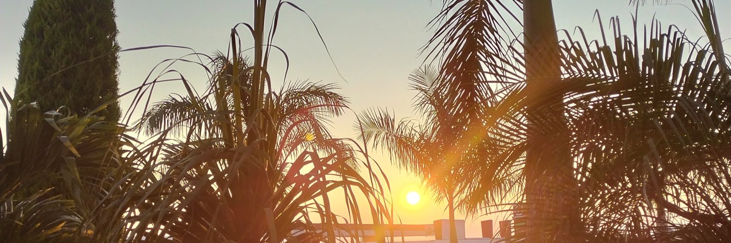 danaeang's profile banner image