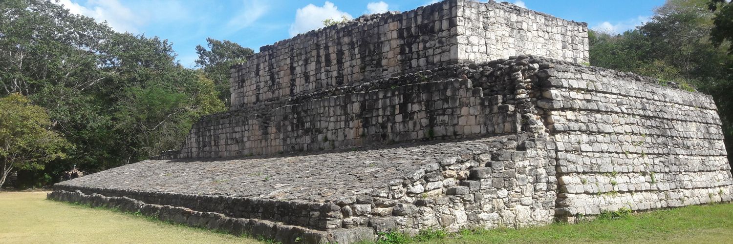 MicToR 🦋🌻🇺🇦🇺🇳🇲🇽🇲🇽🇲🇽 banner