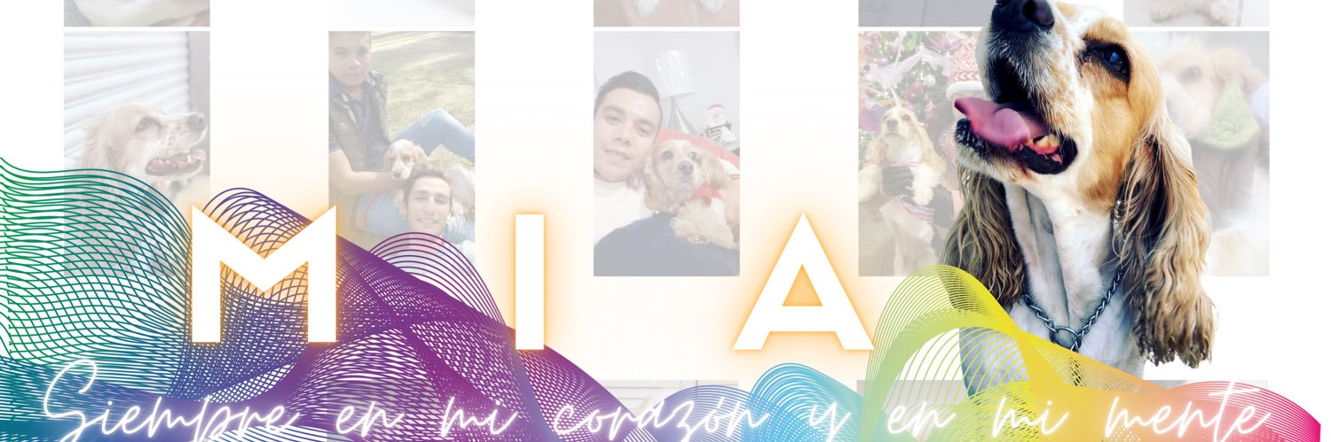 Jesús Ruiz banner
