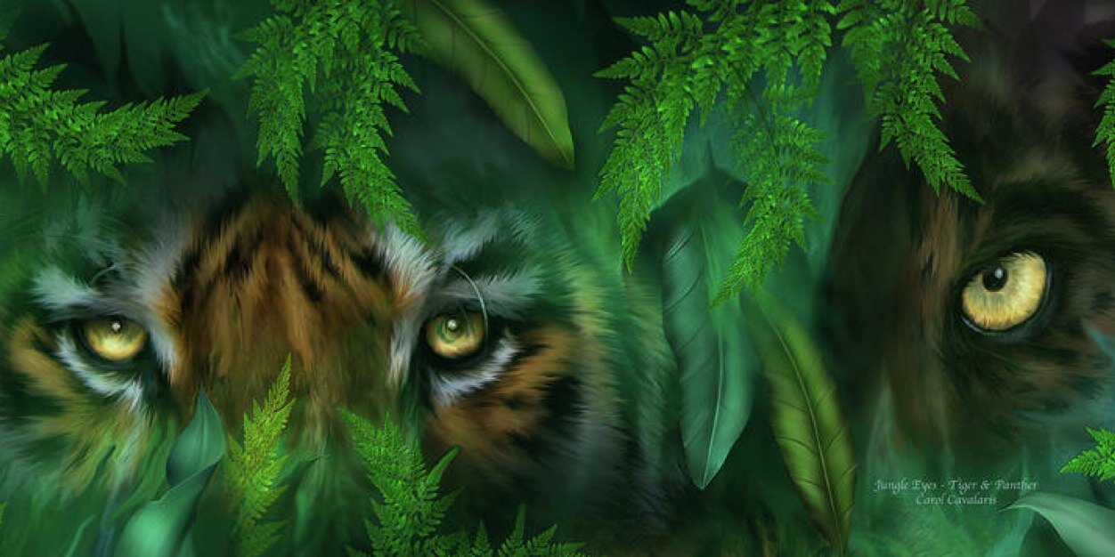STCCompliments's profile banner image