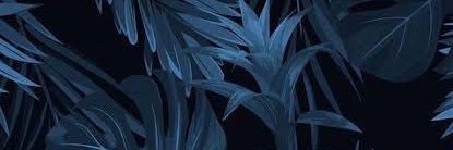 maaxb_s's profile banner image