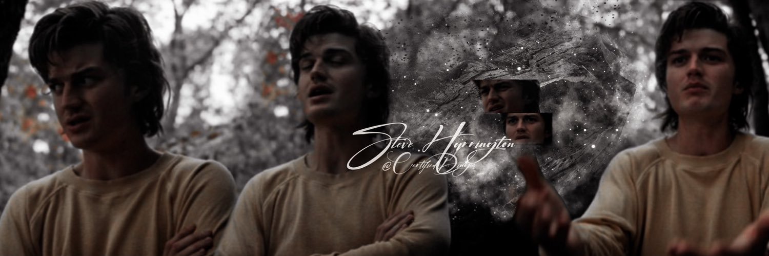 𝑺𝑻𝑬𝑽𝑬 / seen vol. 2! banner