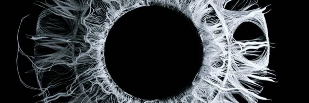 Vasty banner