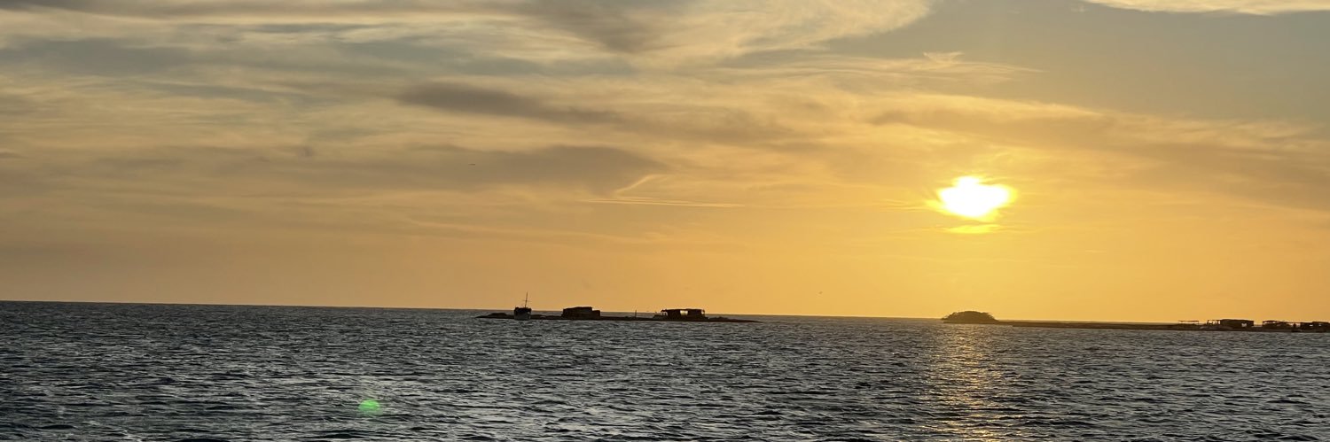 viccandell's profile banner image