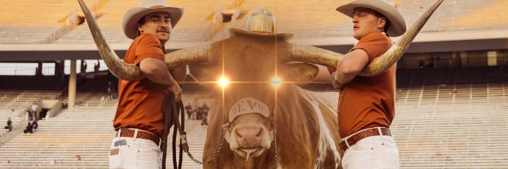 Coach S(n)ark banner