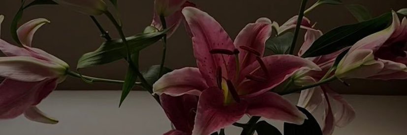 aurabsh's profile banner image