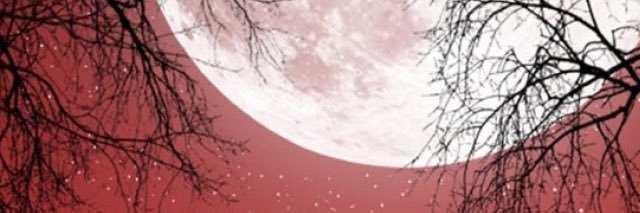 MoonBaby03's profile banner image