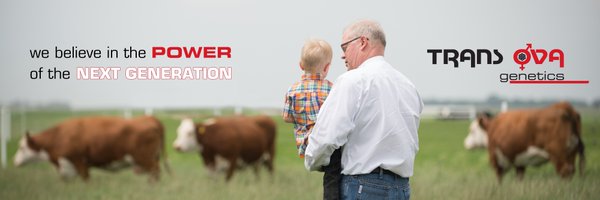 TransOva Profile Banner