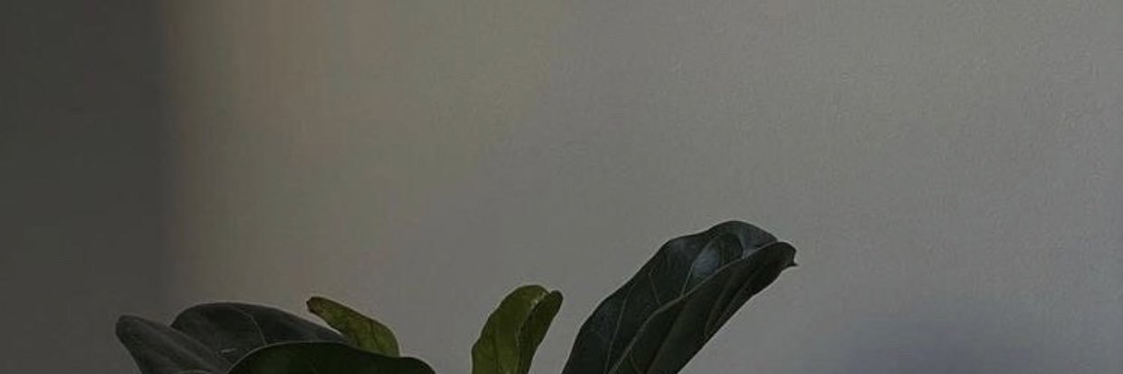 N1UUZ's profile banner image