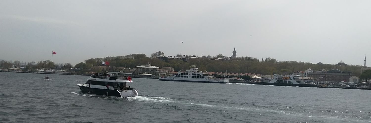 mertaygell's profile banner image
