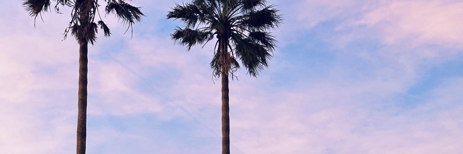 GerosaRo's profile banner image