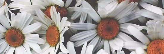 AndiiAnHa's profile banner image
