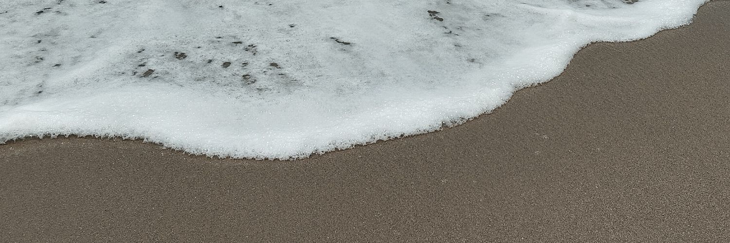 nessss banner