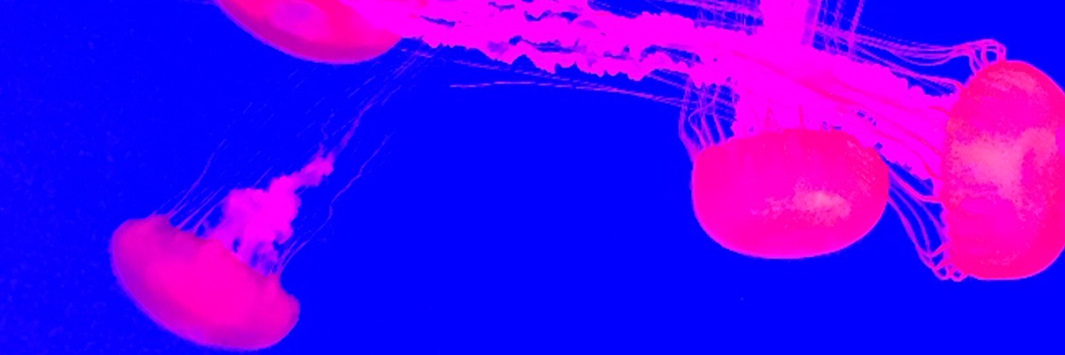 Zoe Sweet banner