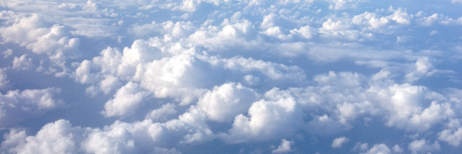 zirbalee's profile banner image