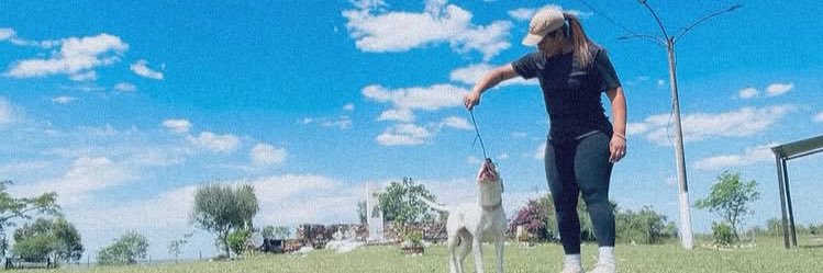 lorecordz's profile banner image