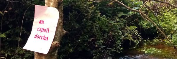 ACDjournal Profile Banner