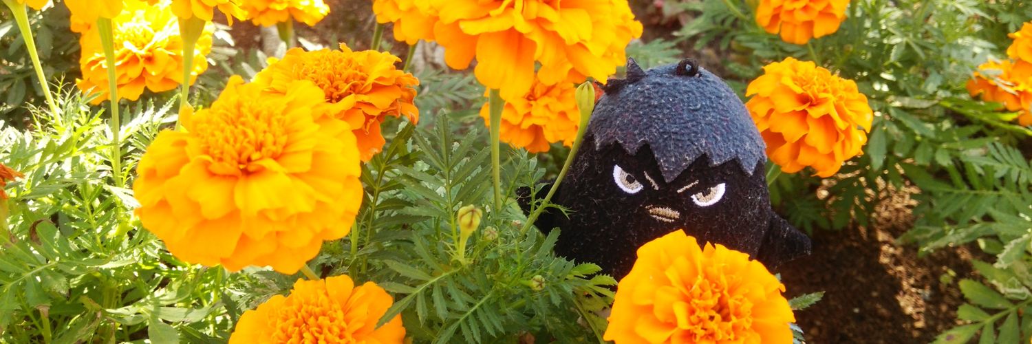 w_y_o's profile banner image