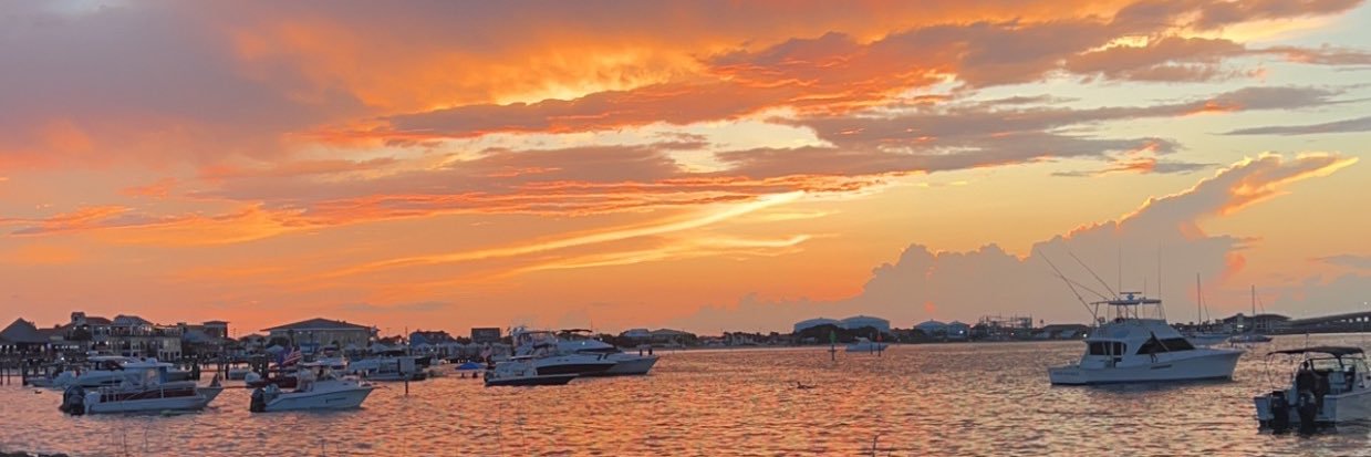 p_dortch7's profile banner image