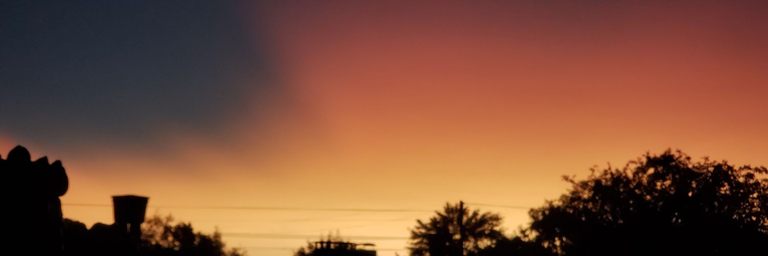 florrferro's profile banner image