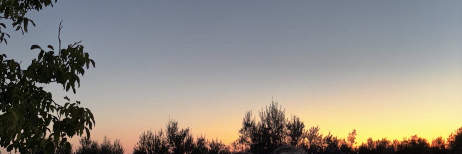 elisaabad_ banner