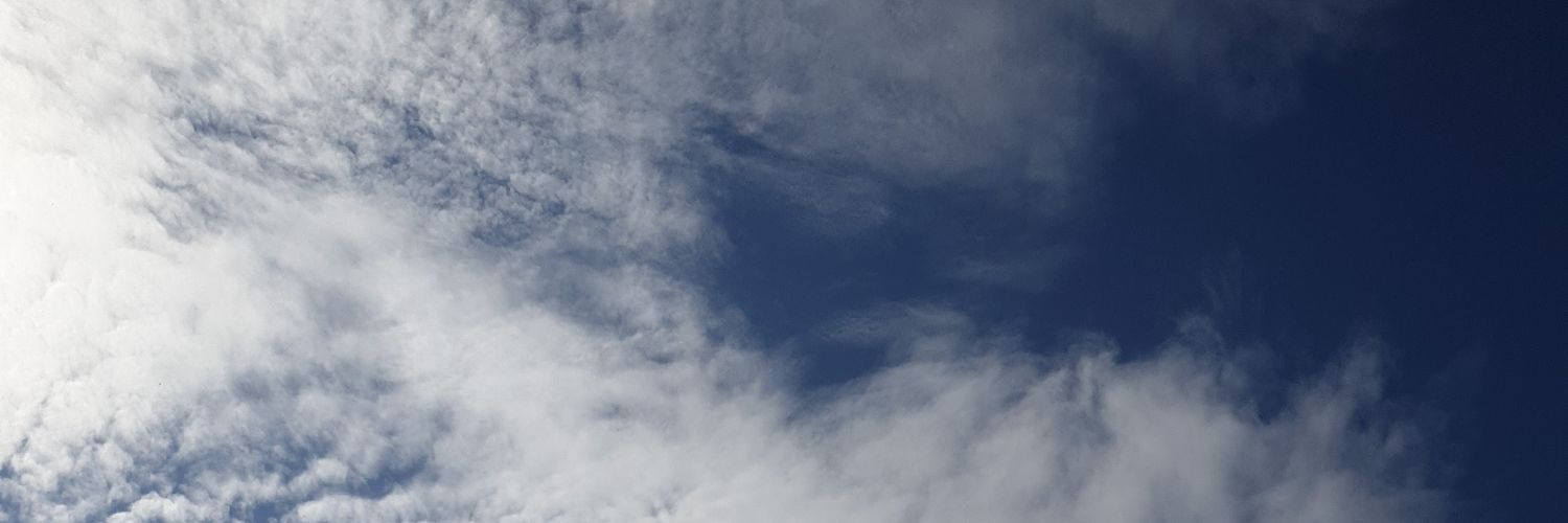 ❤️댕댕커플❤️ banner