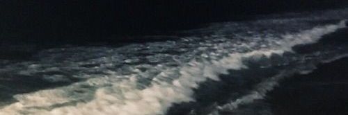 🐄 banner