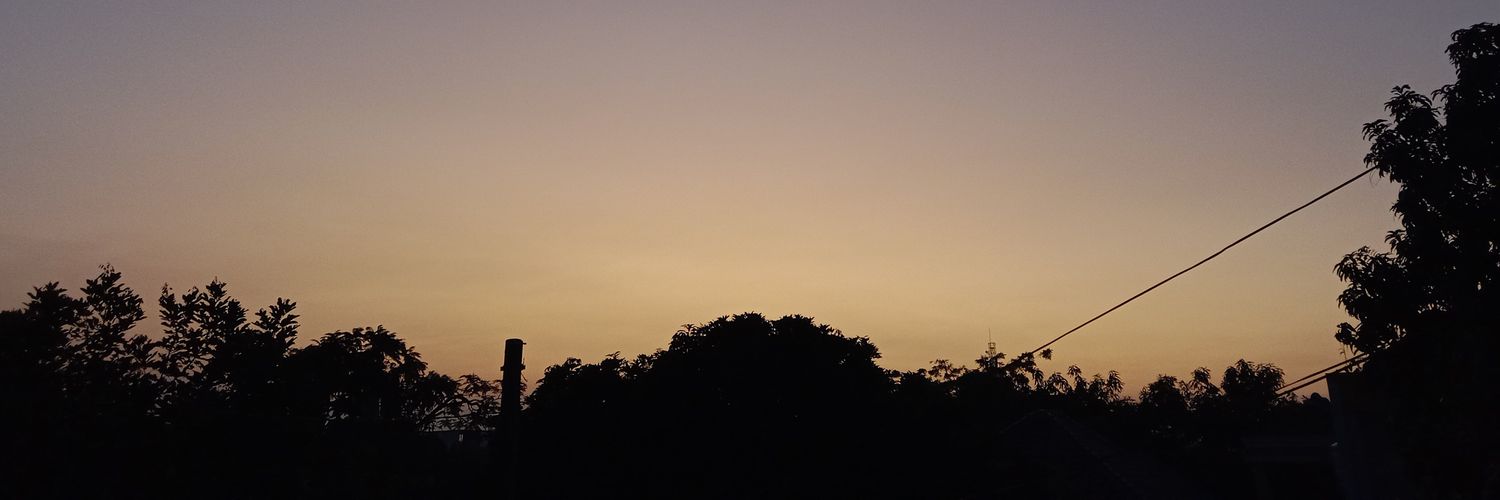 pipo banner