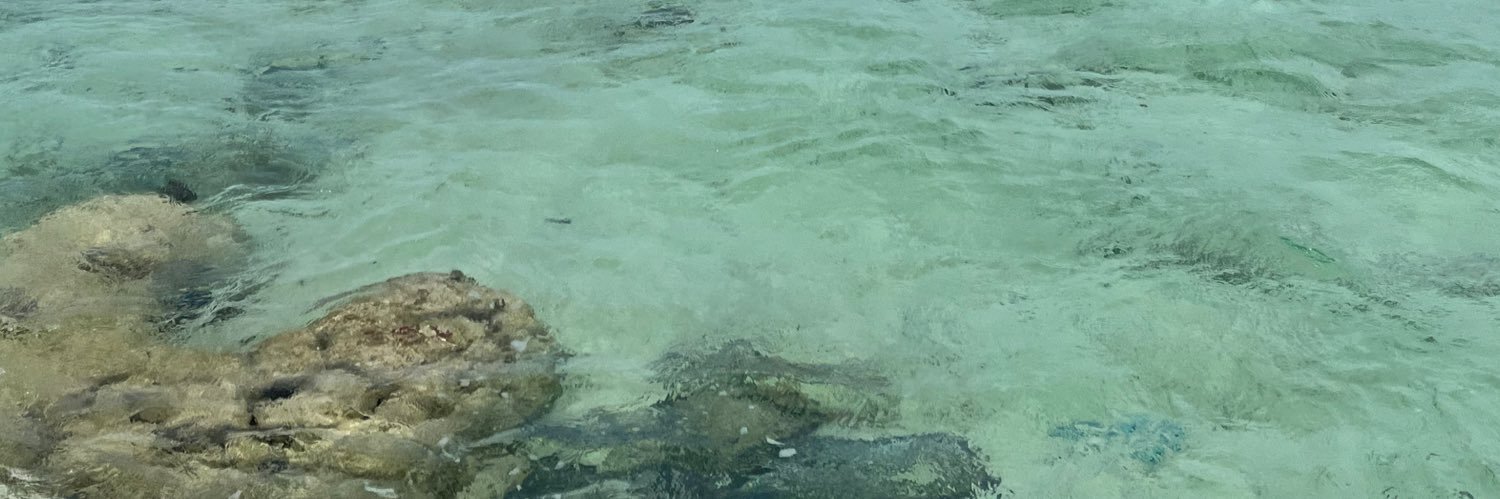 jéyi 🌸🌱 banner