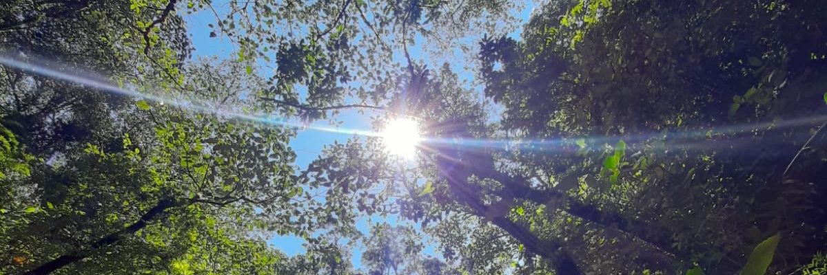 NSerna88's profile banner image