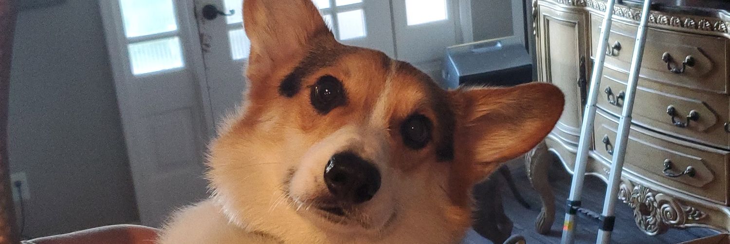 TonyKnosBest's profile banner image