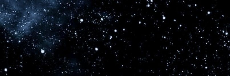 SALTUSSON banner