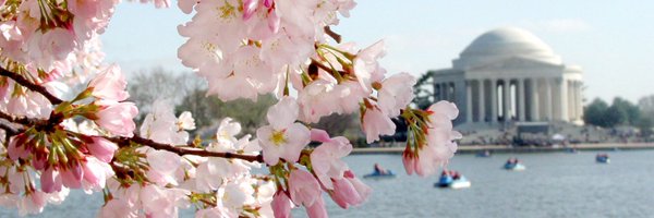 Jenny_ORegan Profile Banner
