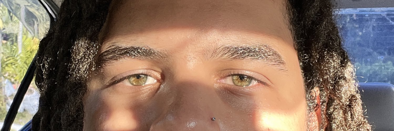 BrownRecluse🇯🇲🇯🇵 banner