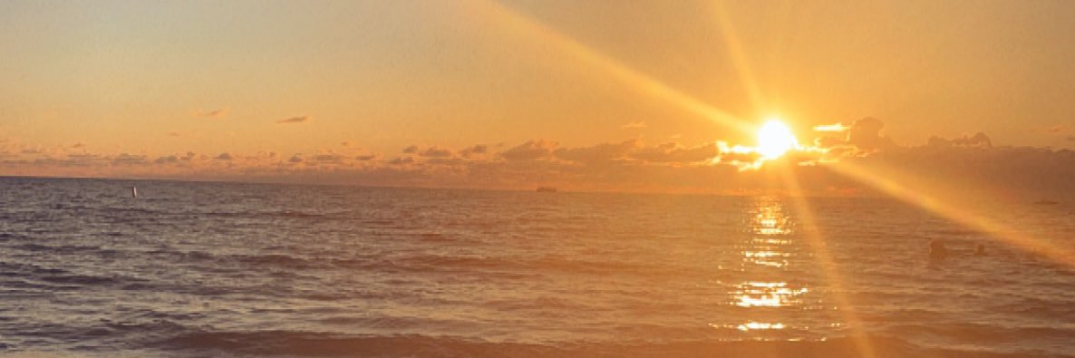 _aliciawebb's profile banner image