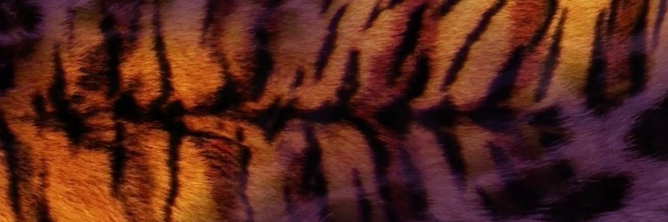 BITCHDOB's profile banner image