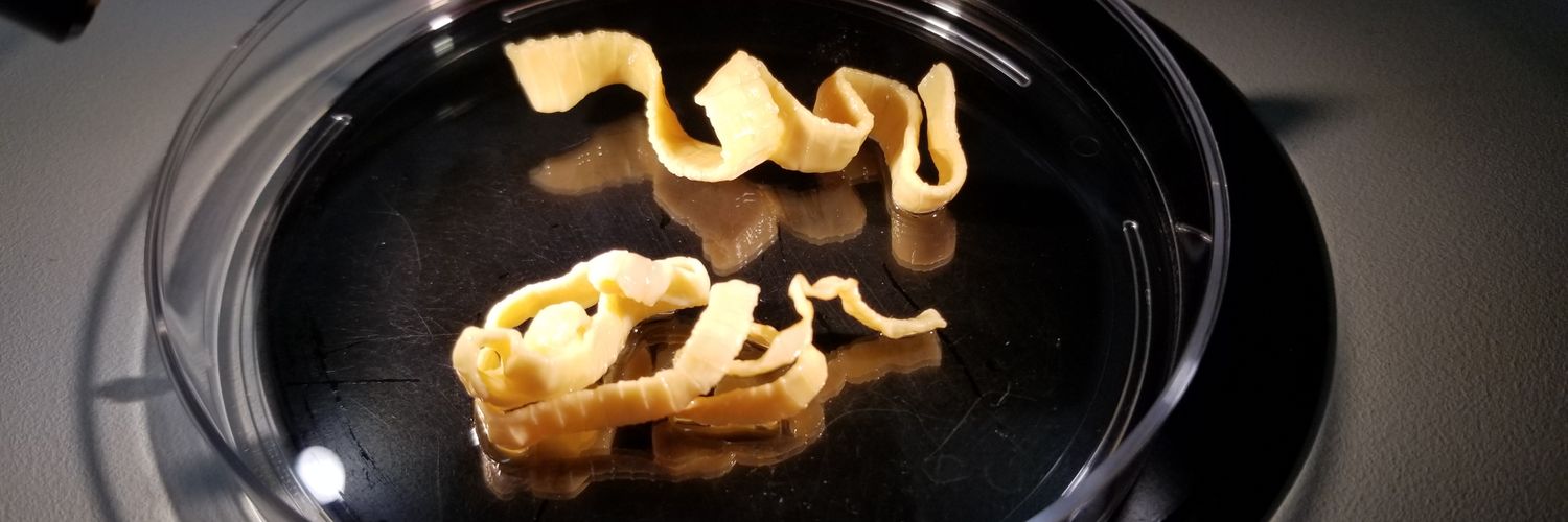 Marc Couturier PhD, D(ABMM) 🕷🦠🔬 banner