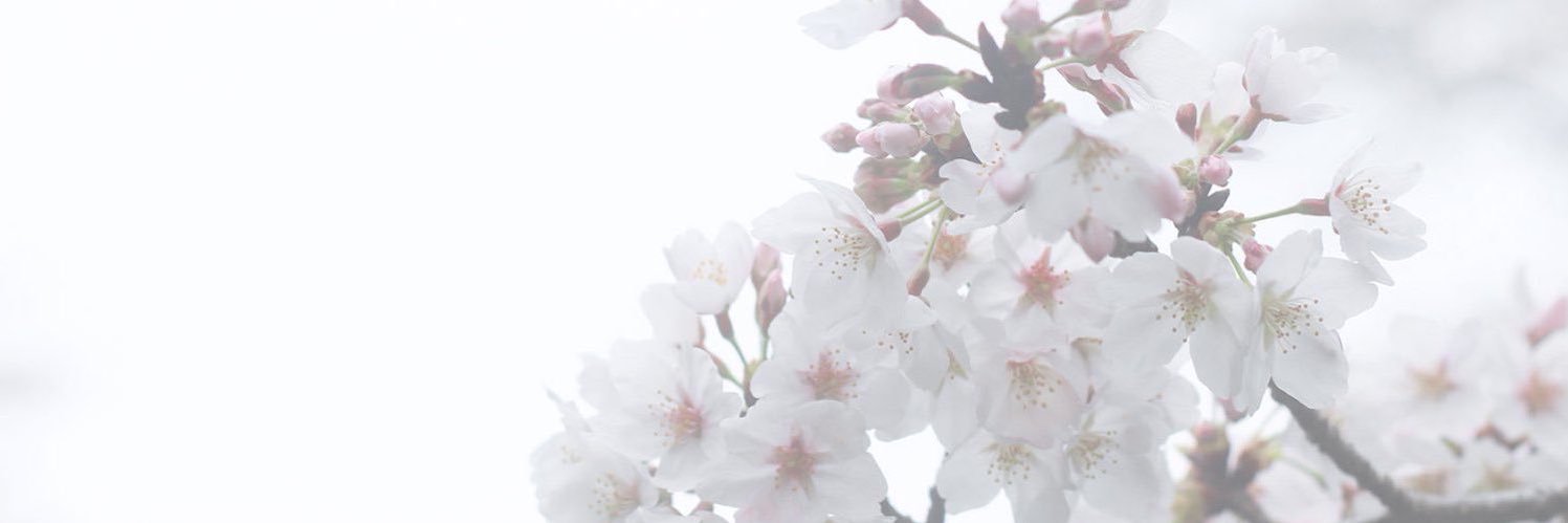 alycrcr's profile banner image