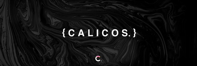 Calicos banner