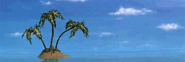 EdgarSH0's profile banner image