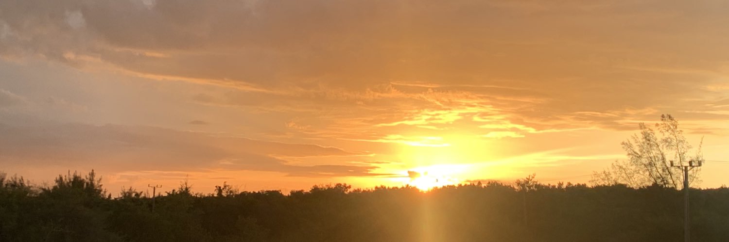 yindro⚡️ banner