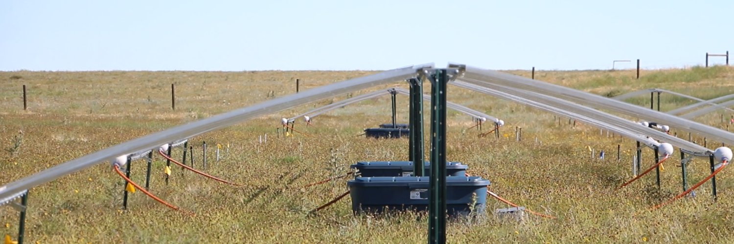 André Franco banner