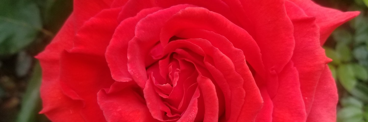 AA Patriot. 🇺🇲👊 banner